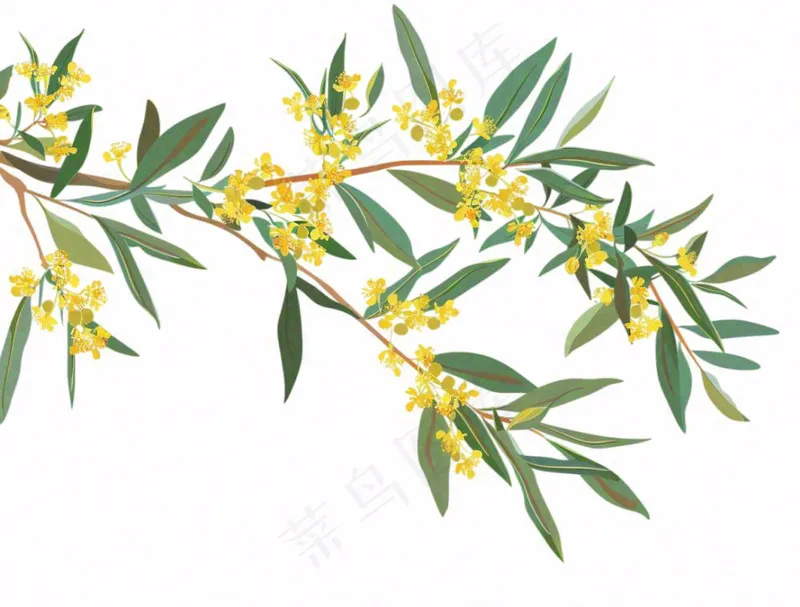 金秋桂花黄花树枝卡通插画免抠(1264x960)