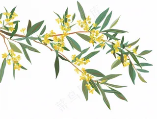 金秋桂花黄花树枝卡通插画免抠