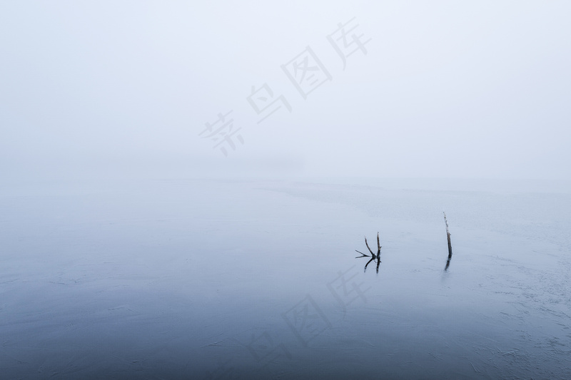 云雾森林图片