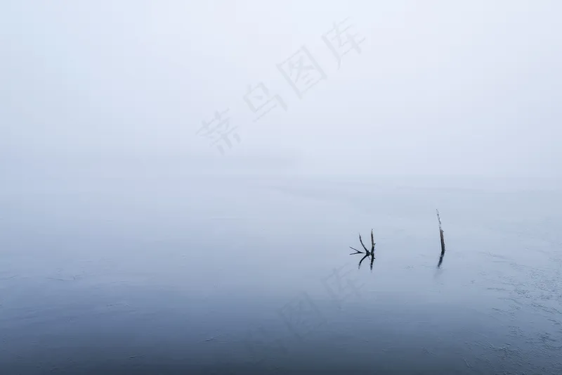 云雾森林图片