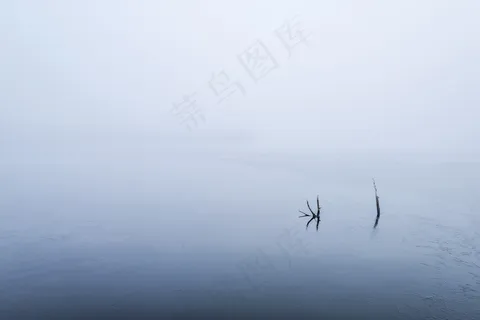 云雾森林图片 云雾森林图片