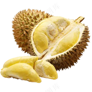 可口的榴莲 可口的榴莲