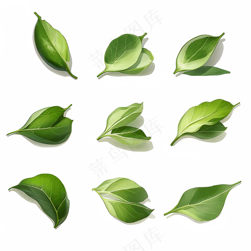 绿色手绘小植物花草系列免抠素材61