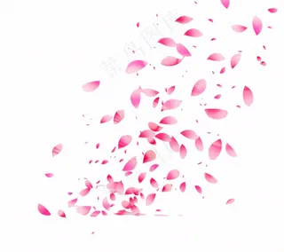 花瓣桃花樱花飘零插画免抠
