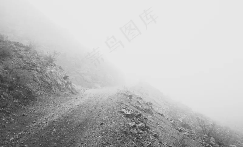 云雾森林图片