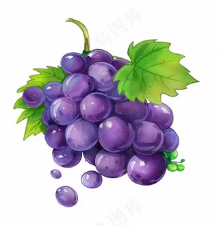 紫葡萄水果水彩插画免抠