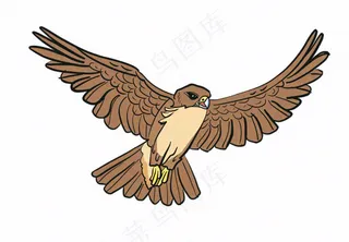老鹰鸟类卡通插画免抠