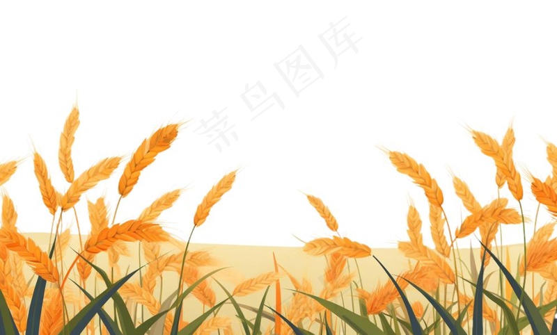 秋季小麦麦穗稻谷麦穗手绘卡通插画免抠(1408x848)