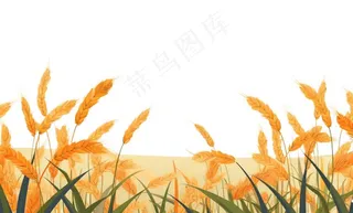 秋季小麦麦穗稻谷麦穗手绘卡通插画免抠