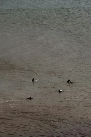 宁静海面上的冲浪者们