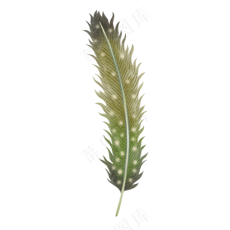 水彩羽毛免扣