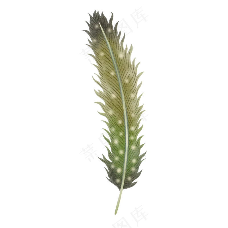 水彩羽毛免扣