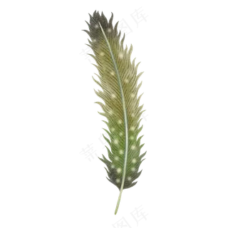 水彩羽毛免扣