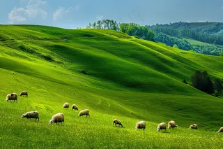 春天草甸草地山坡摄影图