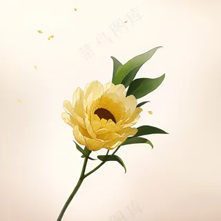 白色黄色手绘新中式风格花植物146 白色黄色手绘新中式风格花植物146