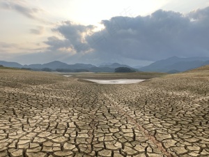 退潮后干旱地裂