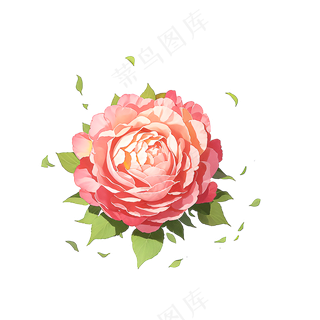 粉色花朵桃花玫瑰免抠素材43