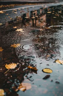 金秋下雨天的路面水洼落叶摄影图 金秋下雨天的路面水洼落叶摄影图