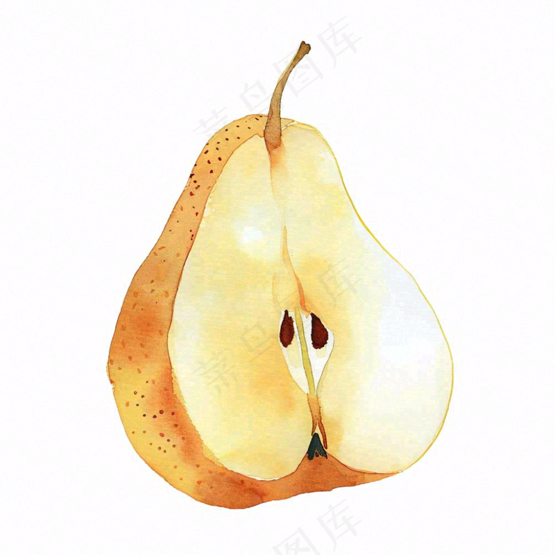 梨子水果切块水彩画免抠