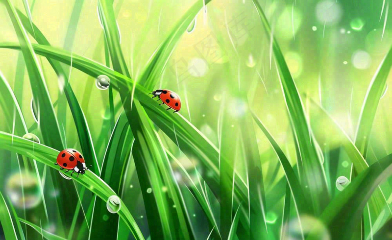 惊蛰雨水谷雨春天瓢虫昆虫绿色嫩草下雨天卡通插画背景