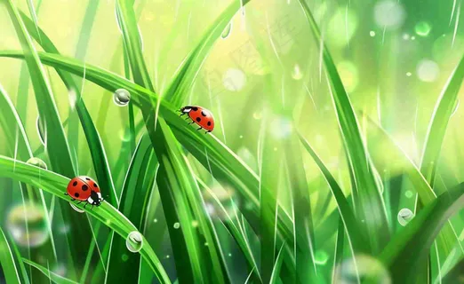 惊蛰雨水谷雨春天瓢虫昆虫绿色嫩草下雨天卡通插画背景
