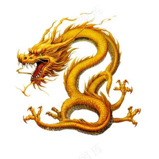 龙金色的龙卡通插画免抠