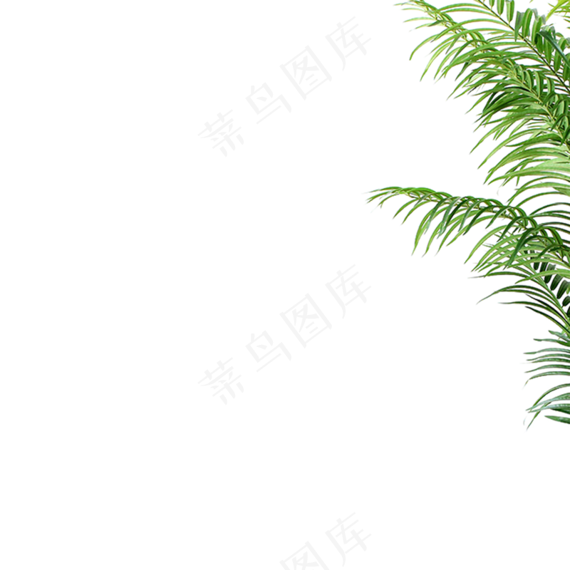 绿色叶子植物海报装饰免抠图png素材