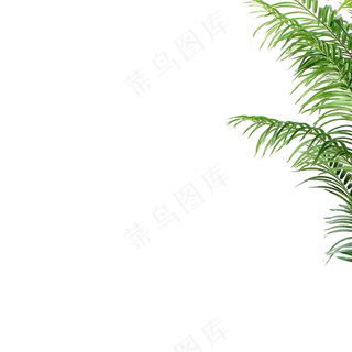 绿色叶子植物海报装饰免抠图png素材