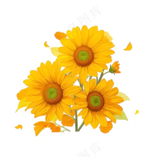黄色向日葵花朵免抠素材60