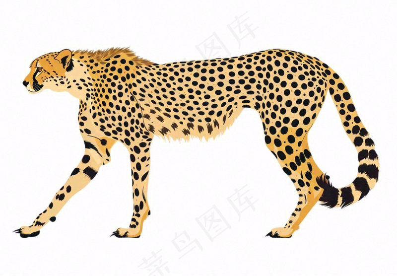 猎豹豹纹动物卡通插画免抠(1312x912)