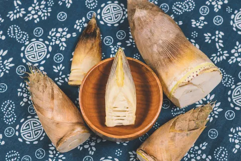 新鲜竹笋春笋食材