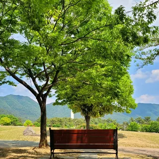 天空下绿色大自然公园1