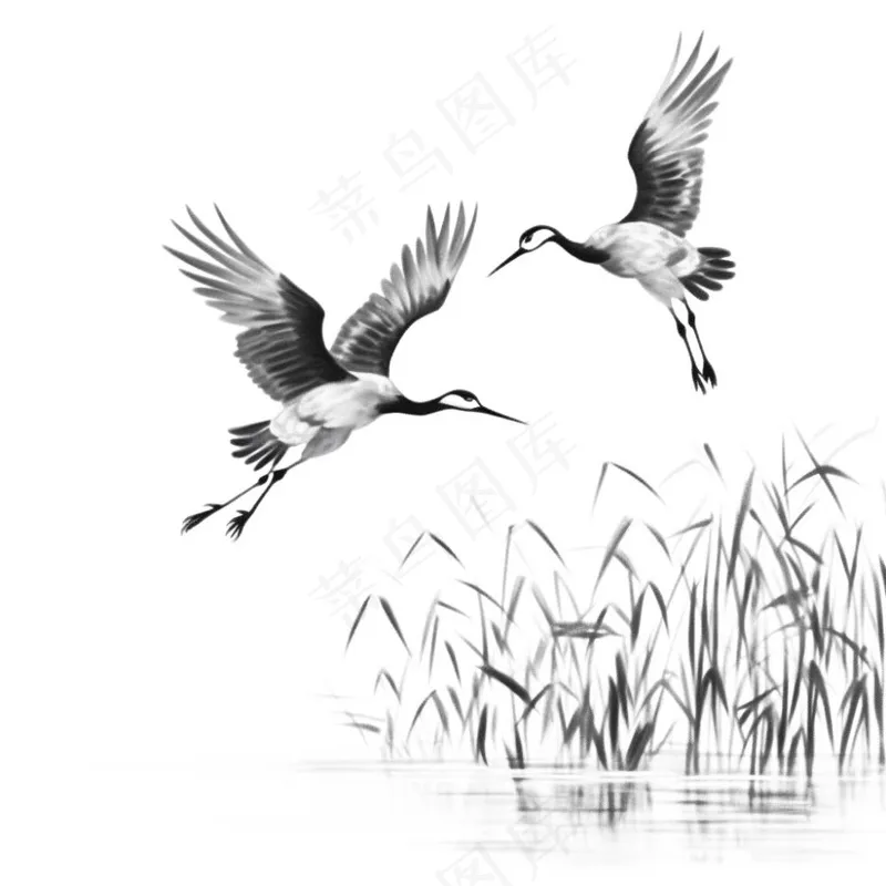 仙鹤白鹤飞过水草芦苇水墨画插画免抠(1024x1024)
