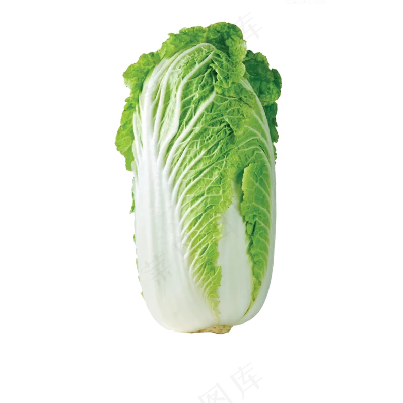 免抠竖着的一颗大白菜