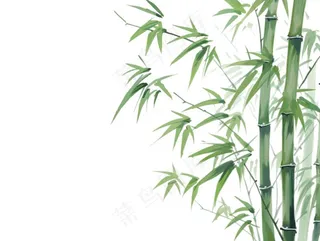 竹林竹子水墨画墨绿插画免抠