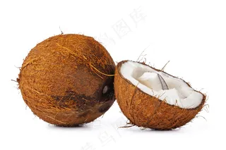 椰子 (15)白底图