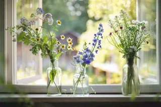 窗台花瓶鲜花清新春日景色摄影图