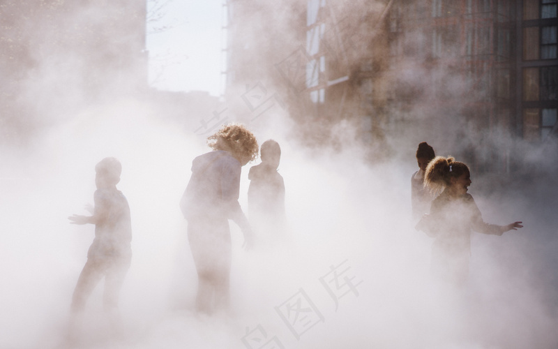 云雾森林图片
