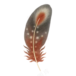 水彩羽毛免扣