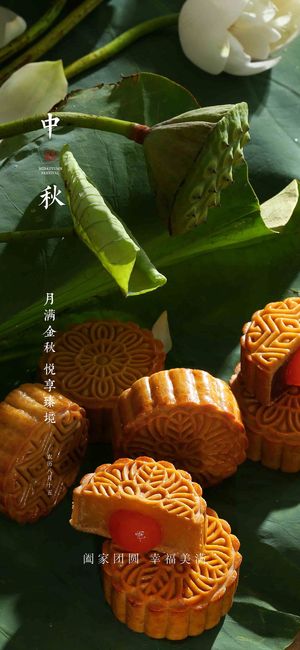 简约小清新中秋节海报