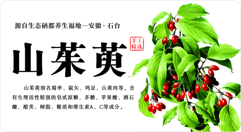 山茱萸标签cdr矢量模版下载