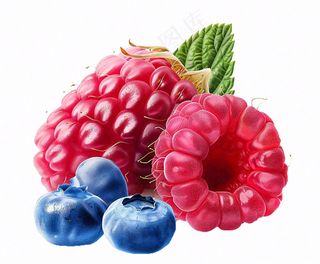 树莓蓝莓水果实物免抠