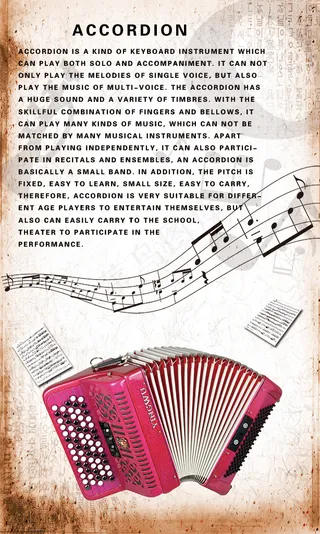 活簧类乐器 手风琴