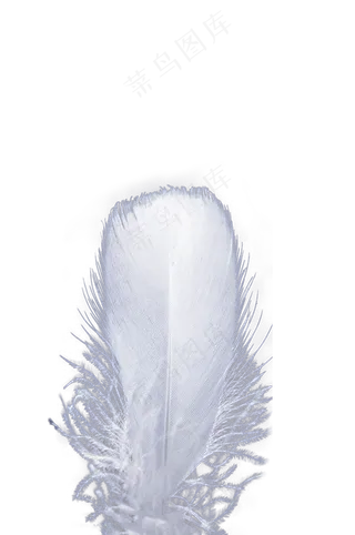 白色羽毛——免抠