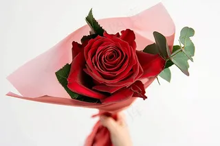 玫瑰花鲜花花朵摄影图