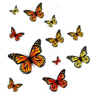 一群飞舞的彩色卡通蝴蝶