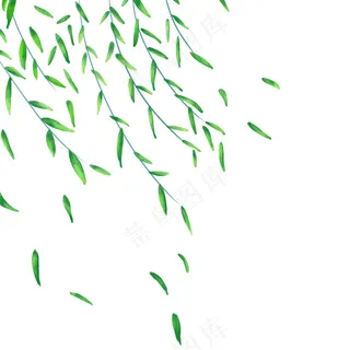 柳叶柳条元素