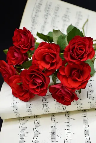乐谱上的红玫瑰摄影