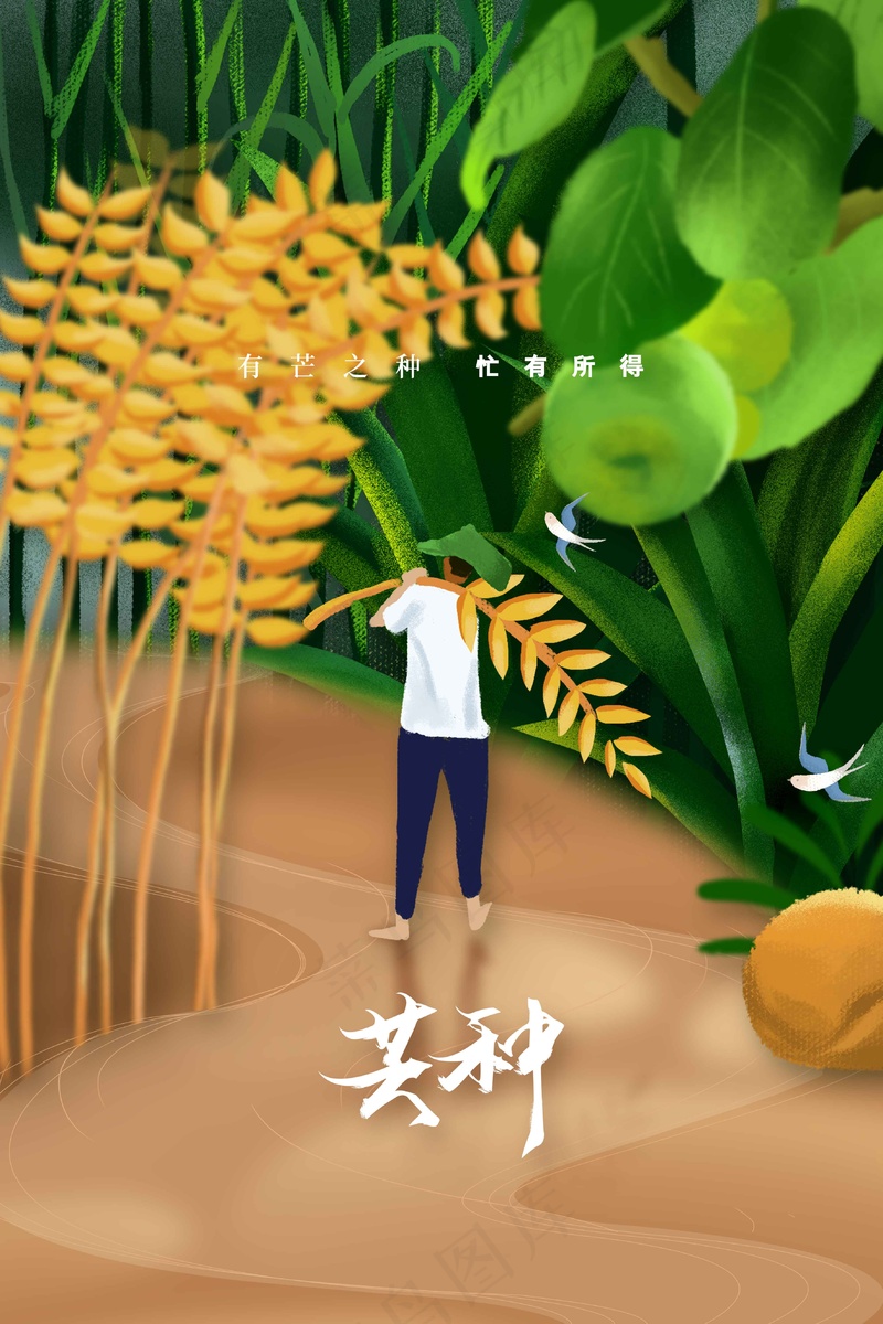 芒种节气传统活动海报psd模版下载