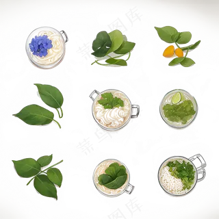 手绘练习小植物花草系列20